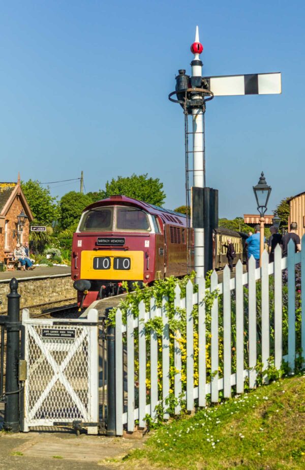 Coaster - D1010 - Image 2