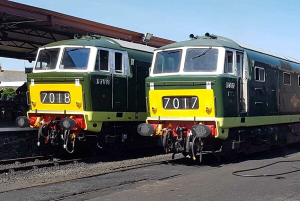 Coaster - D7017 and D7018 - Image 2